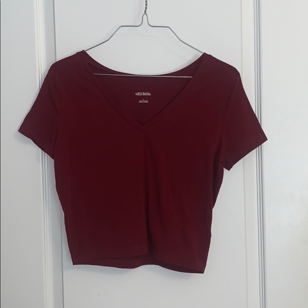 Wild Fable Crop Top